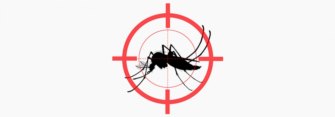 Vacina Contra a Dengue