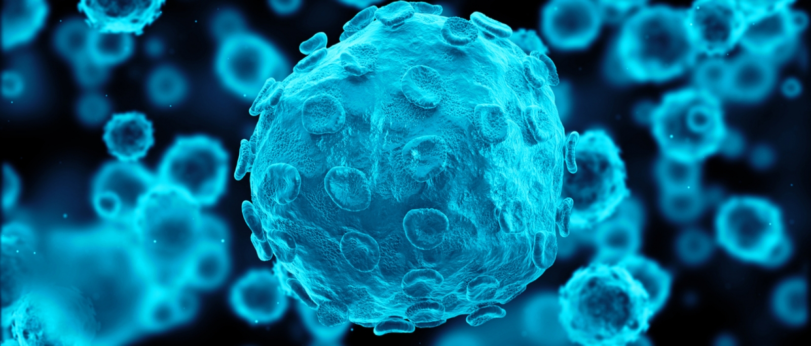 Fotos de herpes genital feminino