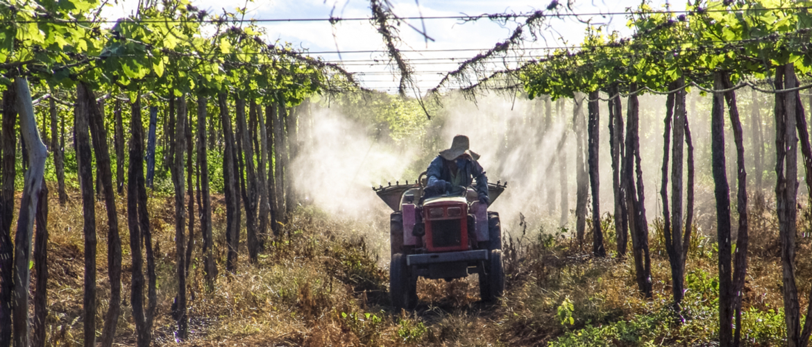 Estudo relaciona agrotóxico com puberdade precoce e má-formação congênita