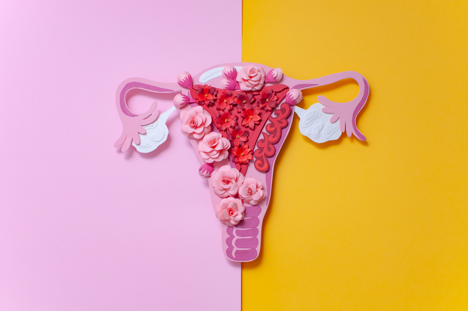 Posicionamento sobre Gestrinona da Comissão Nacional Especializada em Endometriose da Febrasgo e Sociedade Brasileira de Endometriose e Cirurgia Minimamente Invasiva