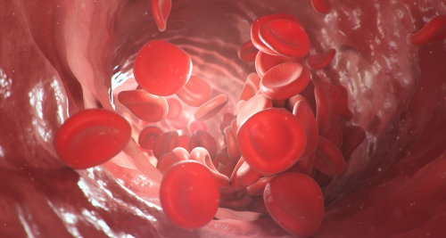 Uso de anticoncepcionais e reposição hormonal na menopausa é ponto de atenção para trombose, alerta FEBRASGO