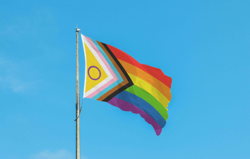 Dia Internacional contra a LGBTfobia:  Cuidados específicos não correspondem à distinção discriminatória