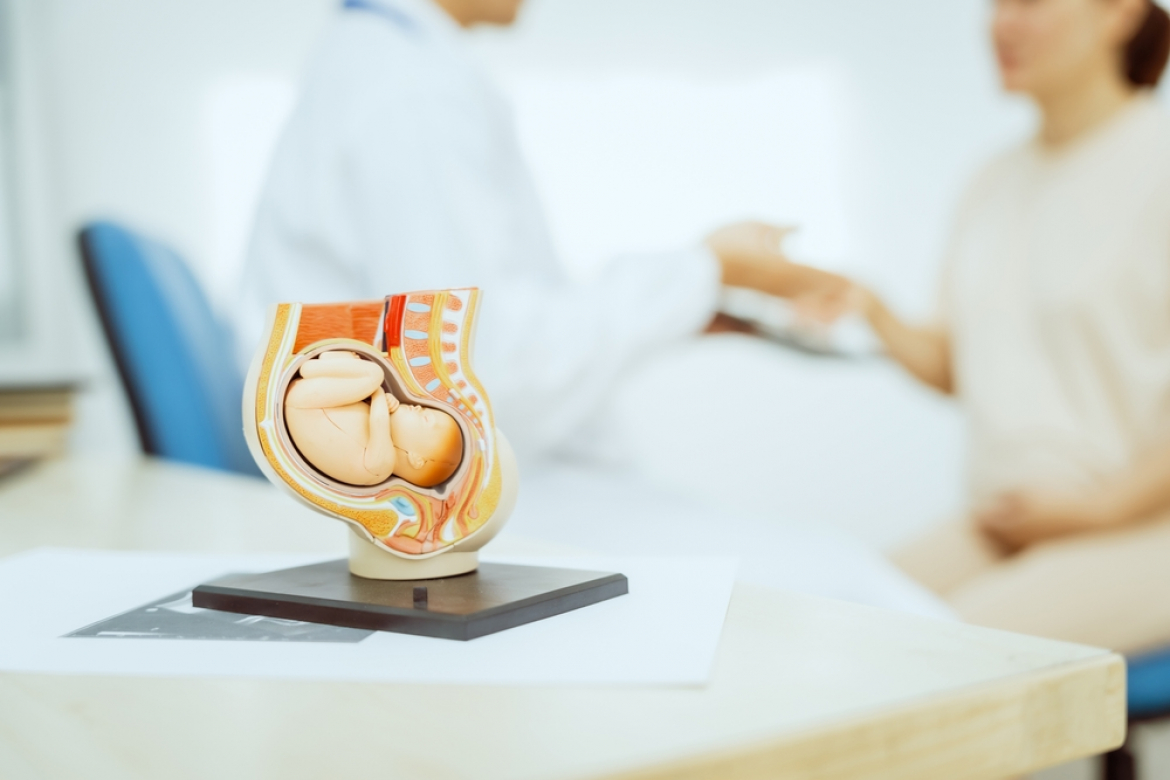 12 de abril - Dia do Obstetra: os desafios e os recados aos jovens médicos