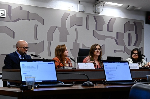 Audi&ecirc;ncia p&uacute;blica no Senado debate avan&ccedil;os no enfrentamento aos c&acirc;nceres de ov&aacute;rio e do colo do &uacute;tero