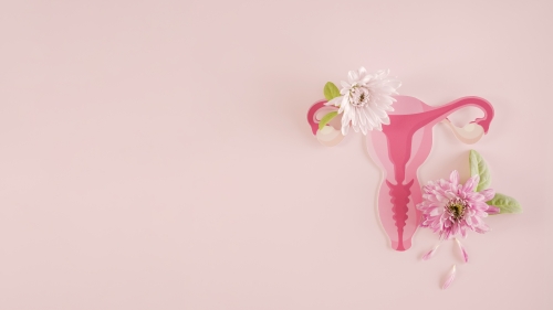 Sa&uacute;de &iacute;ntima - o que toda mulher precisa saber sobre l&iacute;quens vulvares