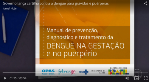 Governo lança cartilha contra a dengue para grávidas e puérperas