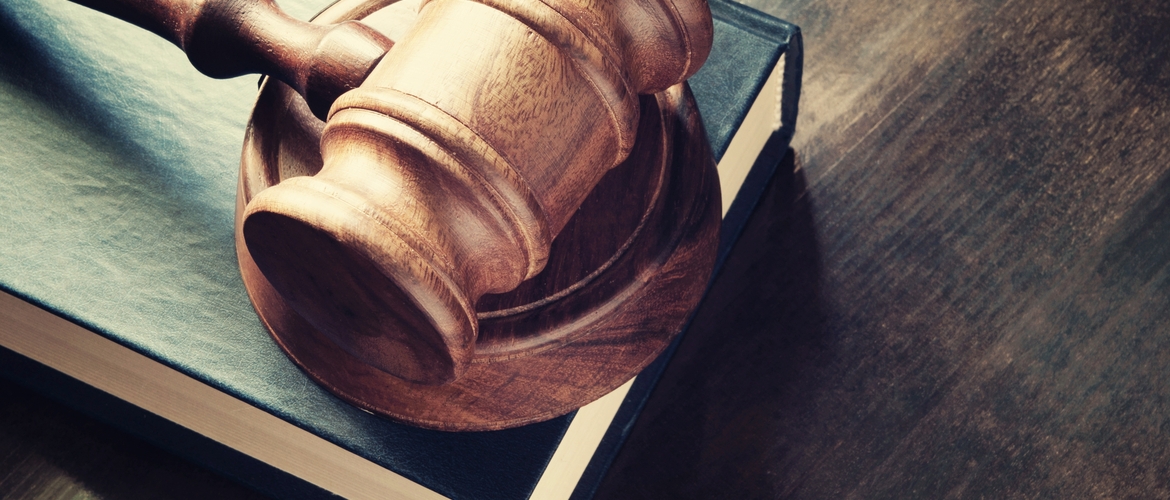 Anencefalia e Poder Judiciário