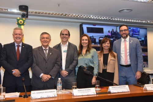 Audiência Pública na Câmara destaca urgência da ampliação da analgesia de parto no SUS