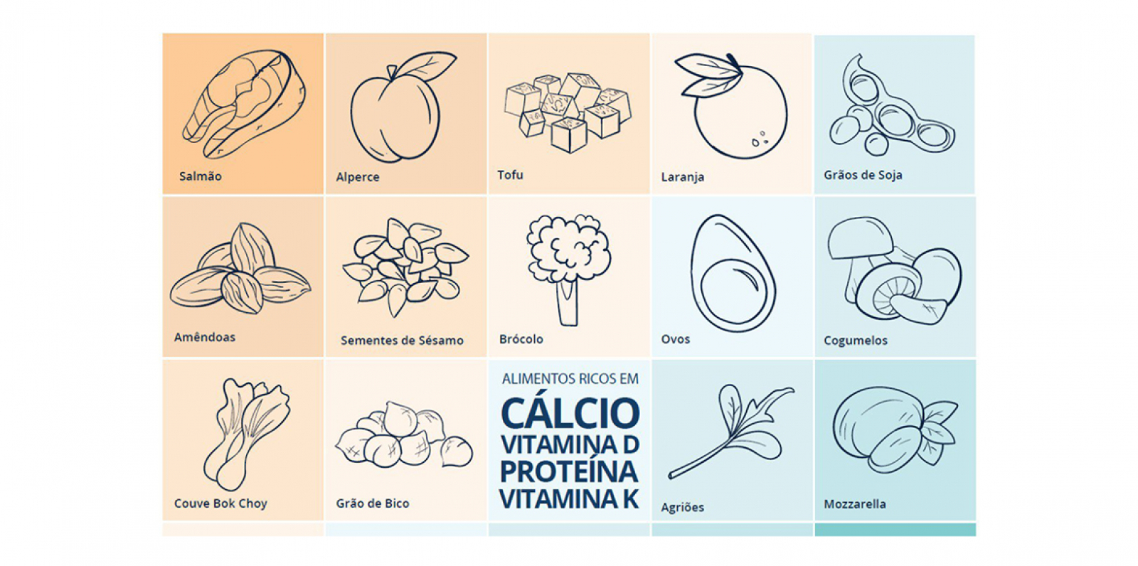 Poster Nutrição