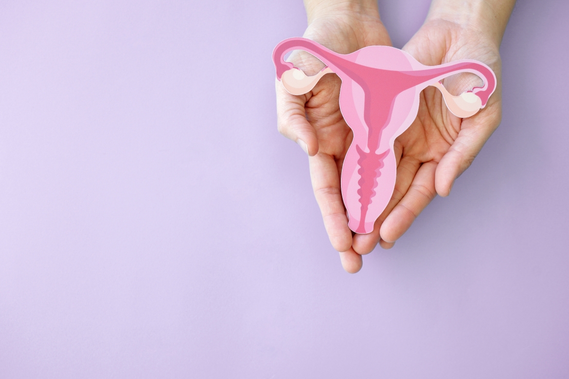 Endometriose: doença que causa dor intensa e pode levar à infertilidade exige diagnóstico precoce e acompanhamento especializado