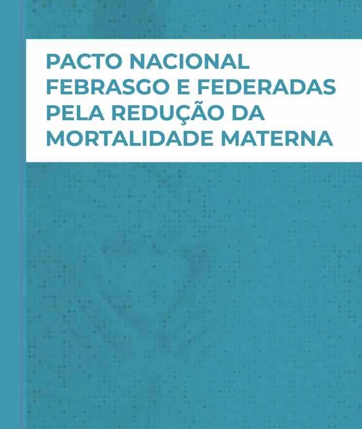 Foto de PACTO NACIONAL Mortalidade Materna